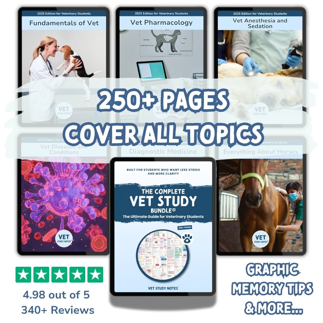 The Complete Vet Study Bundle