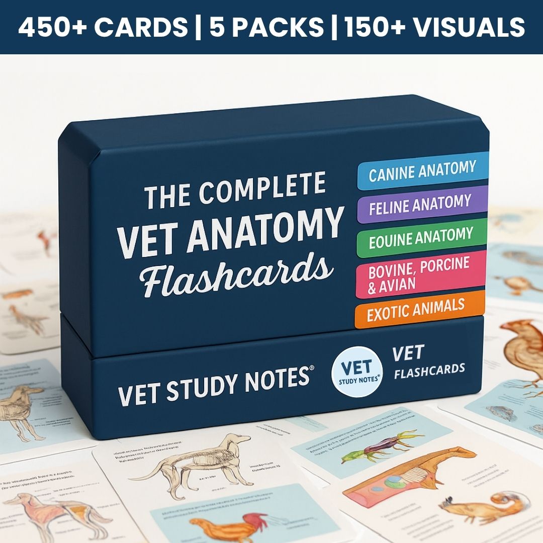 The Complete Vet Anatomy Flashcards Bundle
